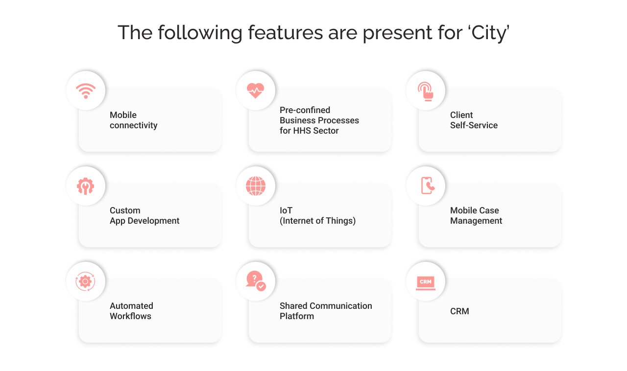 The following features are present for City Salesforce Government Cloud