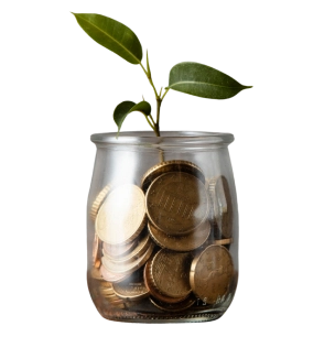 Cost Effective Solutions