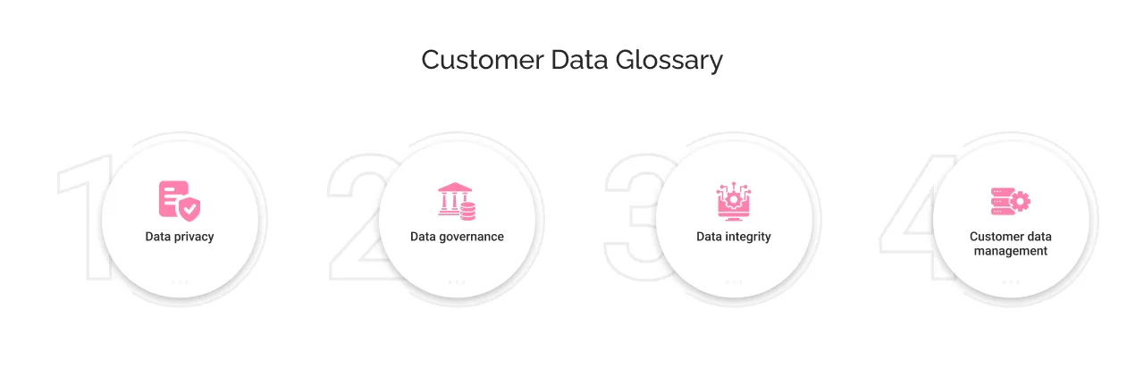 Customer Data Glossary light light