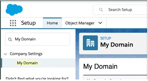 Domain Setup Screenshot