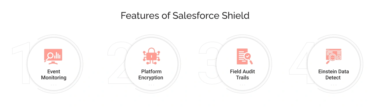 Features of Salesforce Shield Light Img