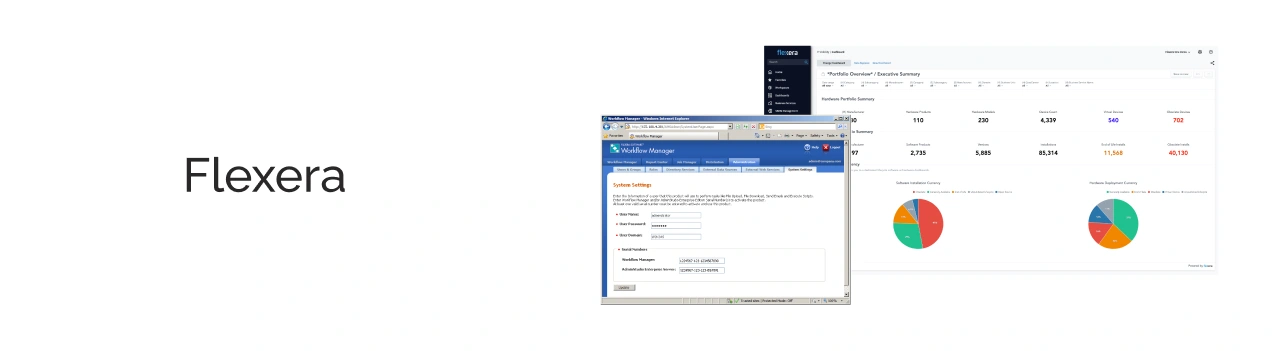 Flexera Tool Light Img