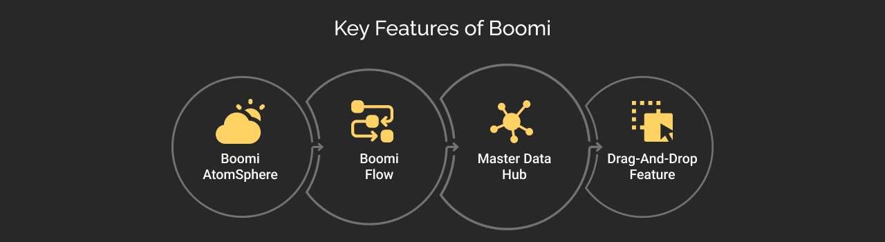 Key Features of Boomi Dark