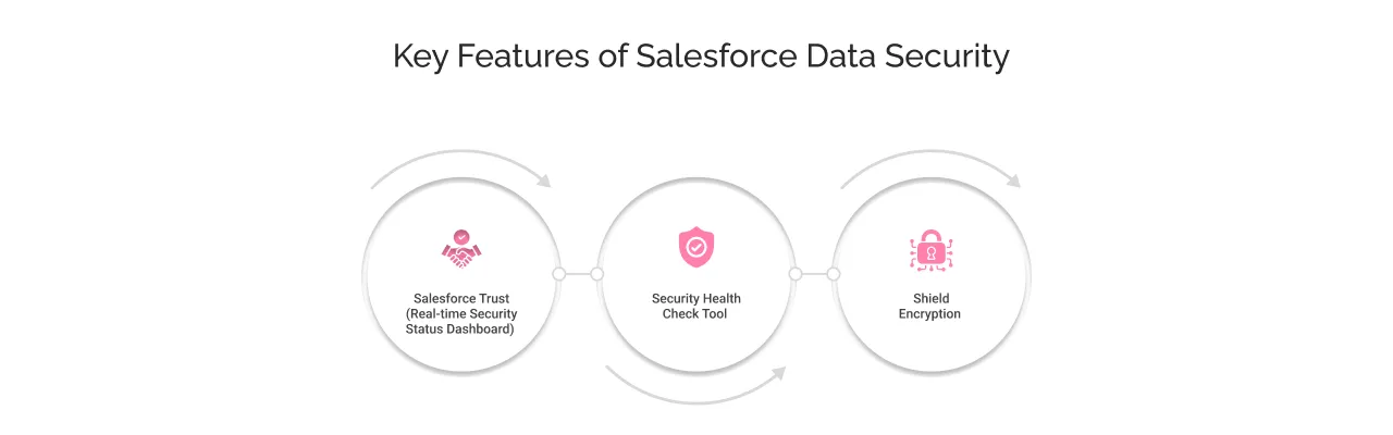 Key Features of Salesforce Data Security light