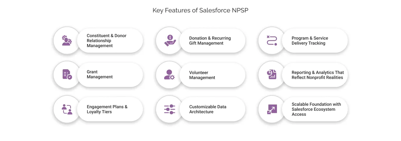 Key Features of Salesforce NPSP light
