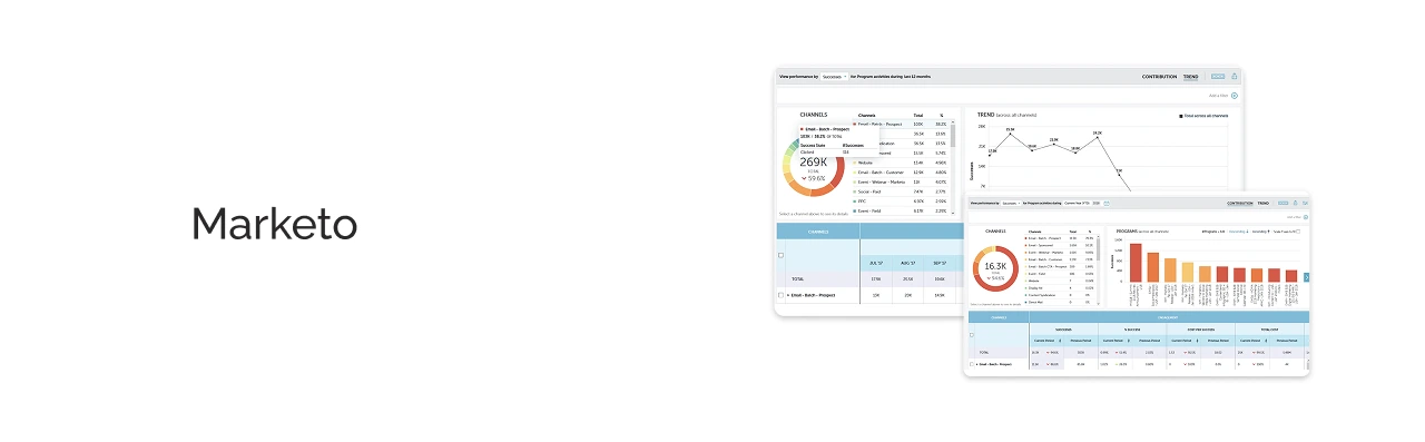 Marketo Tool Dashboard Light Image