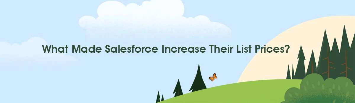 Reasons For Increase In Prices by Salesforce