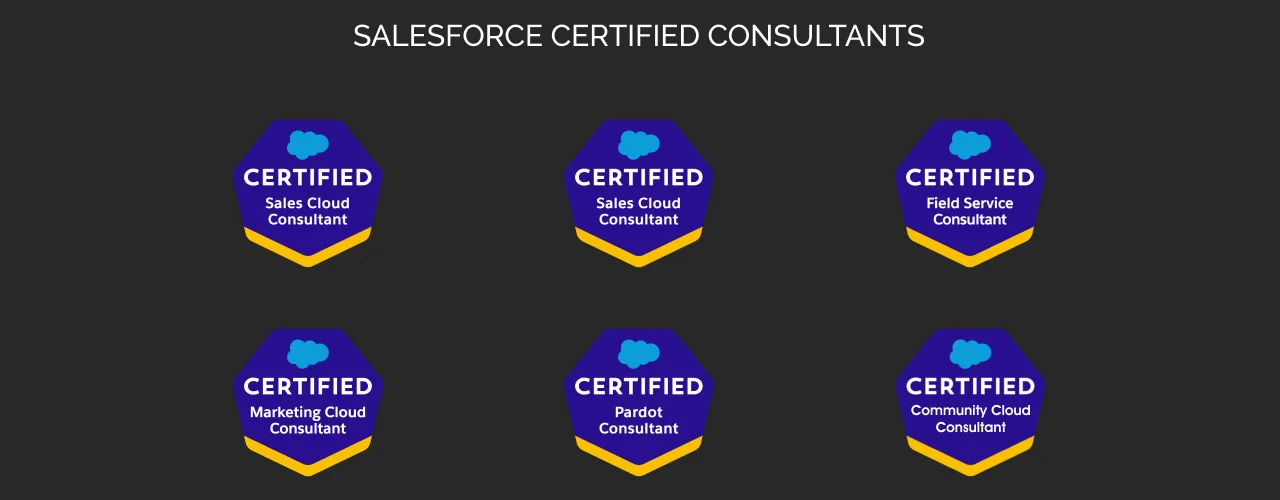 Salesforce Certified Consultants Salesforce Certified Consultants