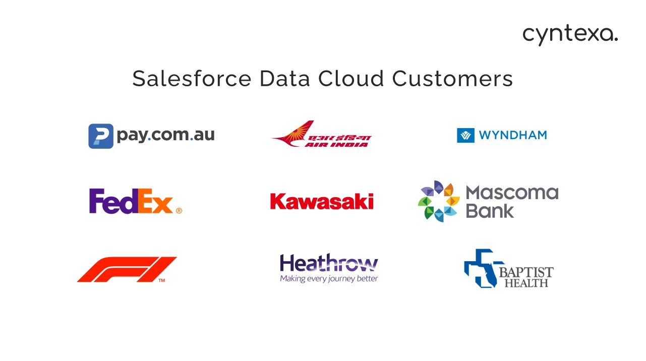 Salesforce data cloud customers