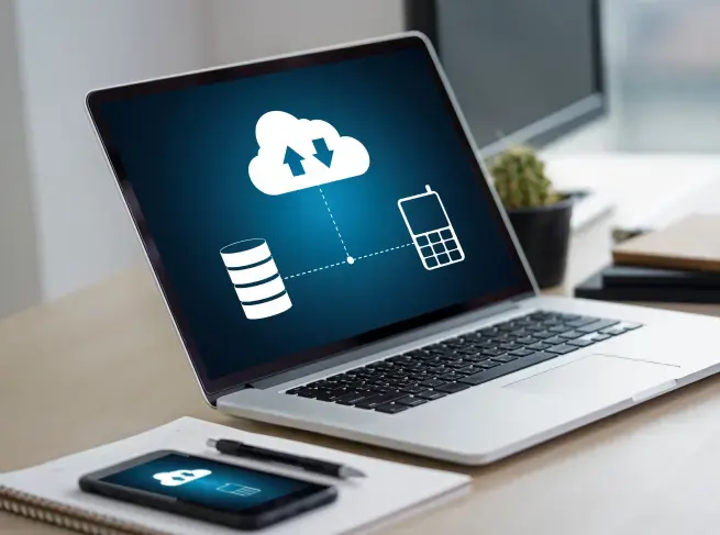 Salesforce Data Migration