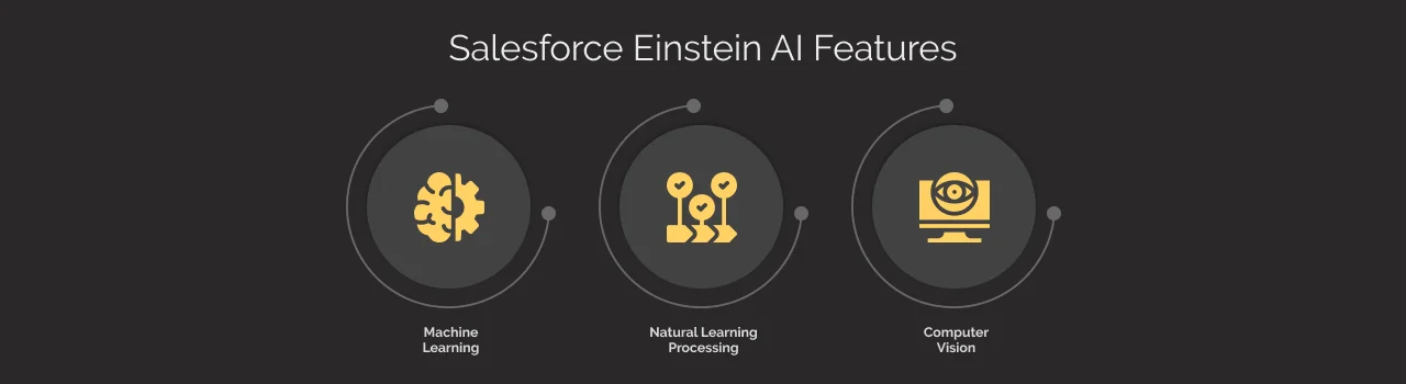 Einstein AI Features dark