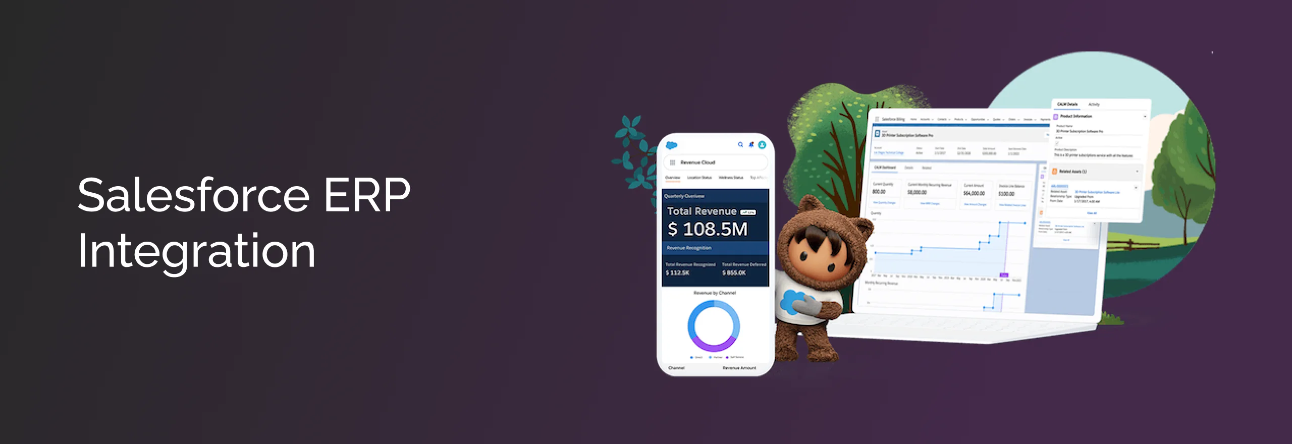Salesforce ERP Integration
