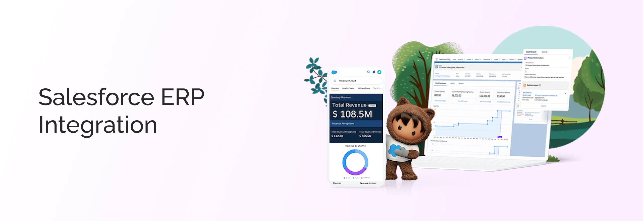 Salesforce ERP Integration