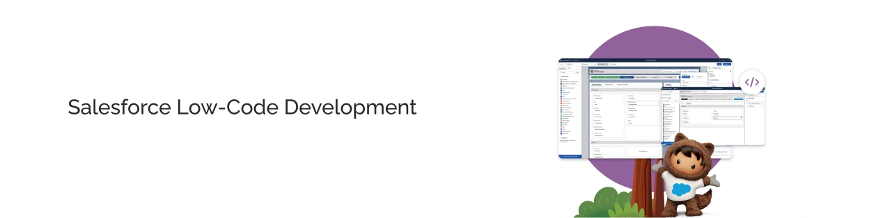 Salesforce Low-Code Platform Light Img
